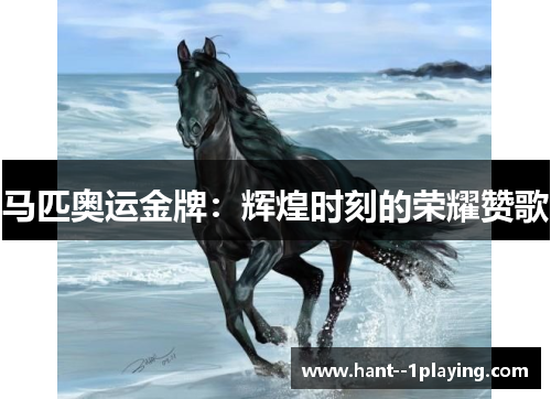 马匹奥运金牌：辉煌时刻的荣耀赞歌